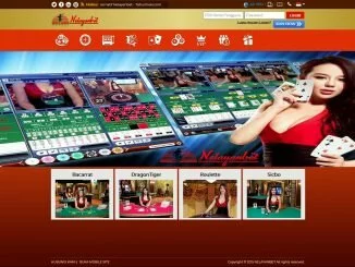 Bukti Kemenangan Casino Online di Nelayanbet